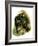 Hamlet holds the skull of the jester Yorick-Harold Copping-Framed Giclee Print