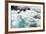 Hamma Hamma Current I-Douglas Taylor-Framed Photo