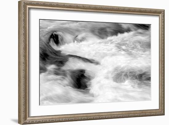 Hamma Hamma Current II BW-Douglas Taylor-Framed Photo