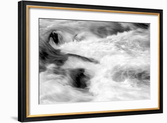 Hamma Hamma Current II BW-Douglas Taylor-Framed Photo