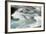 Hamma Hamma Current III-Douglas Taylor-Framed Photo