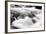 Hamma Hamma Current IV BW-Douglas Taylor-Framed Photo