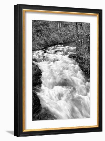 Hamma Hamma River BW-Douglas Taylor-Framed Photo