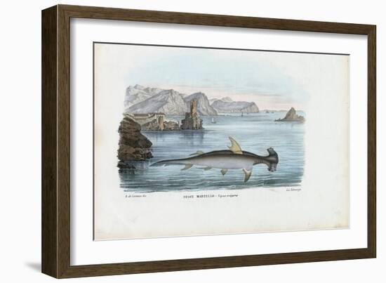 Hammerhead, 1863-79-Raimundo Petraroja-Framed Giclee Print