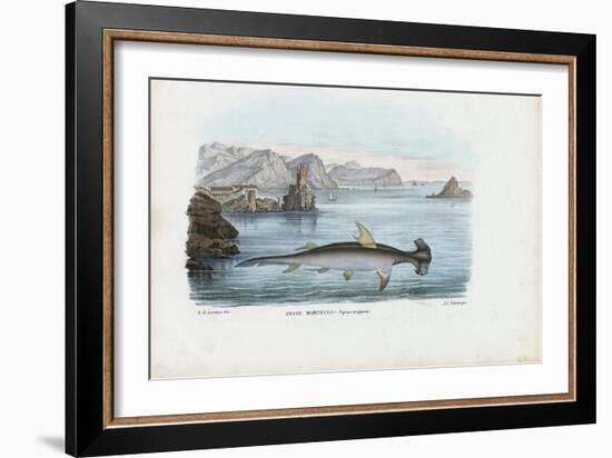 Hammerhead, 1863-79-Raimundo Petraroja-Framed Giclee Print