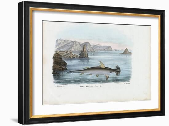 Hammerhead, 1863-79-Raimundo Petraroja-Framed Giclee Print