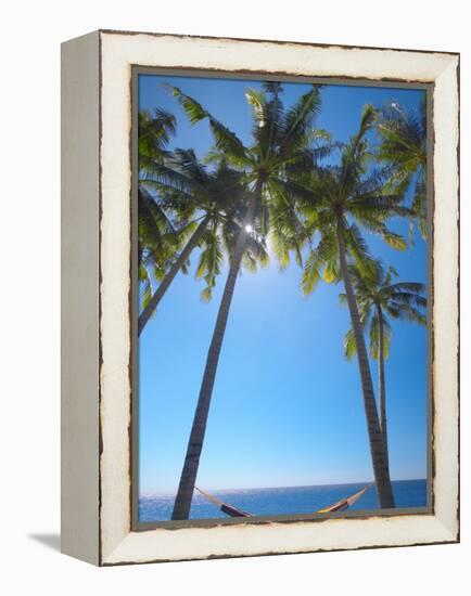 Hammock Between Palm Trees on Beach, Bali, Indonesia, Southeast Asia, Asia-Sakis Papadopoulos-Framed Premier Image Canvas