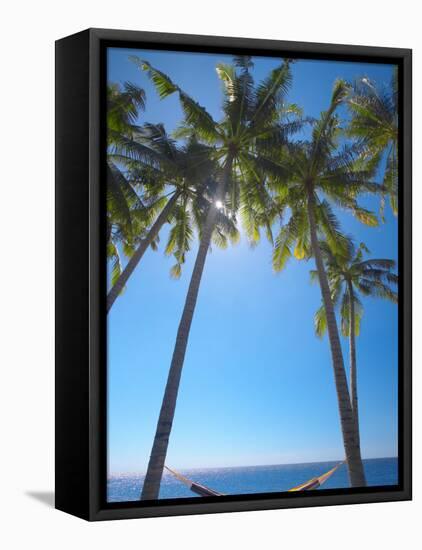 Hammock Between Palm Trees on Beach, Bali, Indonesia, Southeast Asia, Asia-Sakis Papadopoulos-Framed Premier Image Canvas