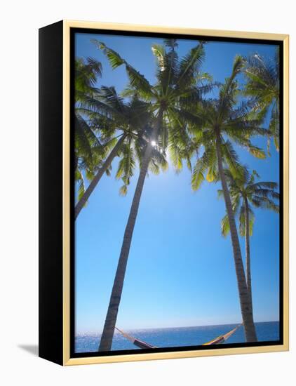 Hammock Between Palm Trees on Beach, Bali, Indonesia, Southeast Asia, Asia-Sakis Papadopoulos-Framed Premier Image Canvas