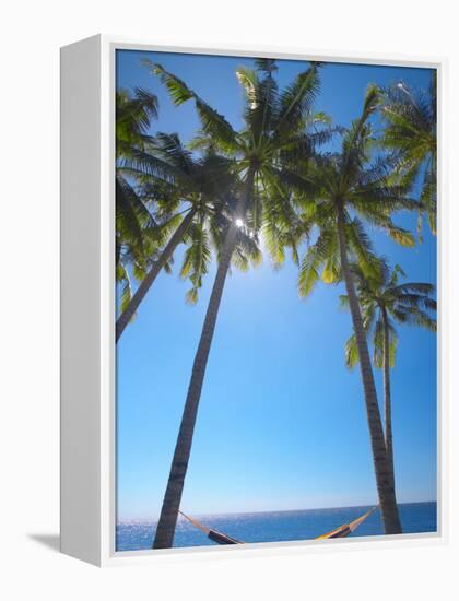 Hammock Between Palm Trees on Beach, Bali, Indonesia, Southeast Asia, Asia-Sakis Papadopoulos-Framed Premier Image Canvas