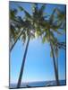 Hammock Between Palm Trees on Beach, Bali, Indonesia, Southeast Asia, Asia-Sakis Papadopoulos-Mounted Photographic Print