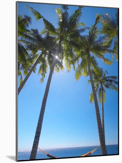 Hammock Between Palm Trees on Beach, Bali, Indonesia, Southeast Asia, Asia-Sakis Papadopoulos-Mounted Photographic Print