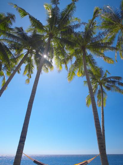 hammock between palm trees on beach bali indonesia southeast asia
