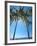 Hammock Between Palm Trees on Beach, Bali, Indonesia, Southeast Asia, Asia-Sakis Papadopoulos-Framed Photographic Print