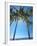 Hammock Between Palm Trees on Beach, Bali, Indonesia, Southeast Asia, Asia-Sakis Papadopoulos-Framed Photographic Print
