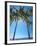 Hammock Between Palm Trees on Beach, Bali, Indonesia, Southeast Asia, Asia-Sakis Papadopoulos-Framed Photographic Print