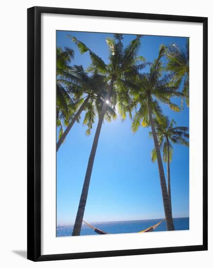 Hammock Between Palm Trees on Beach, Bali, Indonesia, Southeast Asia, Asia-Sakis Papadopoulos-Framed Photographic Print