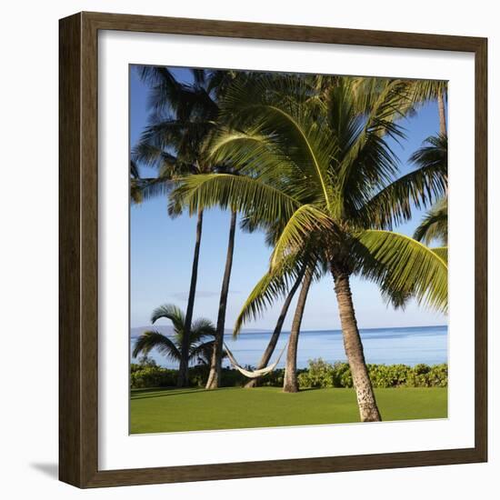 Hammock Between Two Palms-Ron Chapple-Framed Photographic Print