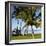 Hammock Between Two Palms-Ron Chapple-Framed Photographic Print