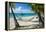 Hammock hanging on famous White Bay, Jost Van Dyke, British Virgin Islands, West Indies, Caribbean,-Michael Runkel-Framed Premier Image Canvas