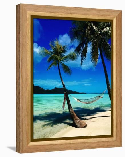 Hammock Hanging Seaside-Randy Faris-Framed Premier Image Canvas