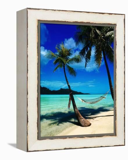 Hammock Hanging Seaside-Randy Faris-Framed Premier Image Canvas