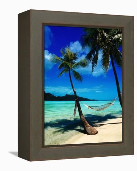 Hammock Hanging Seaside-Randy Faris-Framed Premier Image Canvas