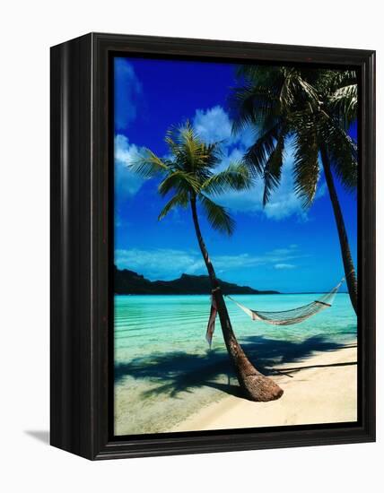 Hammock Hanging Seaside-Randy Faris-Framed Premier Image Canvas