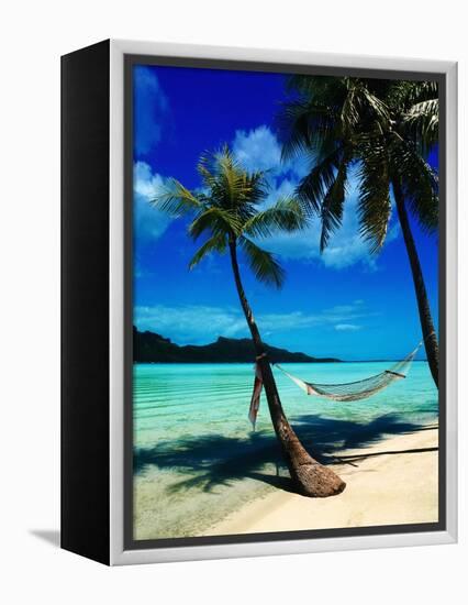 Hammock Hanging Seaside-Randy Faris-Framed Premier Image Canvas