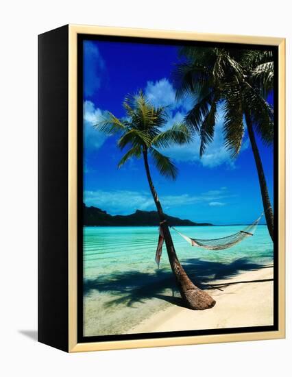 Hammock Hanging Seaside-Randy Faris-Framed Premier Image Canvas