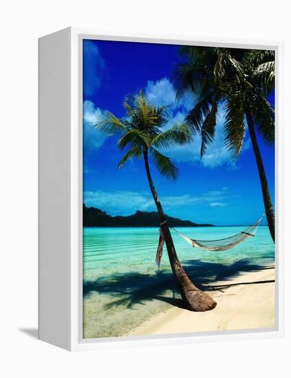 Hammock Hanging Seaside-Randy Faris-Framed Premier Image Canvas