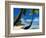 Hammock Hanging Seaside-Randy Faris-Framed Photographic Print