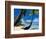 Hammock Hanging Seaside-Randy Faris-Framed Photographic Print