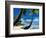 Hammock Hanging Seaside-Randy Faris-Framed Photographic Print