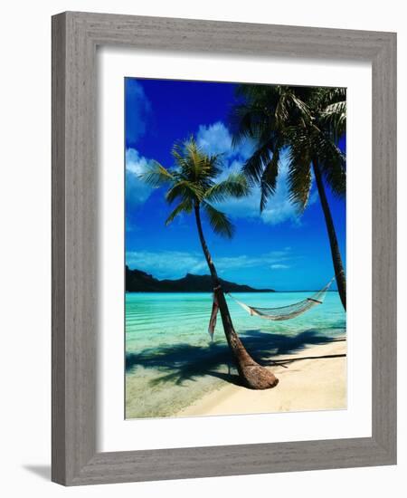 Hammock Hanging Seaside-Randy Faris-Framed Photographic Print