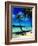 Hammock Hanging Seaside-Randy Faris-Framed Photographic Print