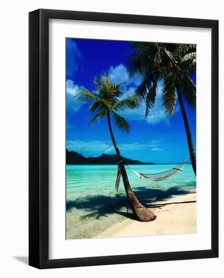 Hammock Hanging Seaside-Randy Faris-Framed Photographic Print