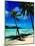 Hammock Hanging Seaside-Randy Faris-Mounted Photographic Print