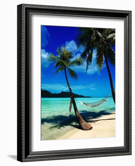 Hammock Hanging Seaside-Randy Faris-Framed Photographic Print