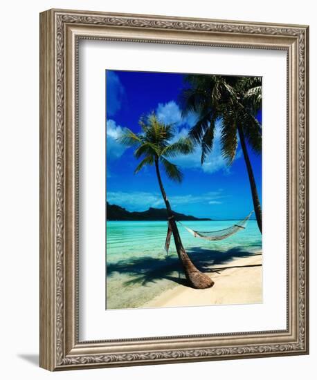 Hammock Hanging Seaside-Randy Faris-Framed Photographic Print