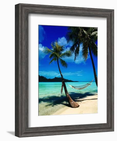 Hammock Hanging Seaside-Randy Faris-Framed Photographic Print