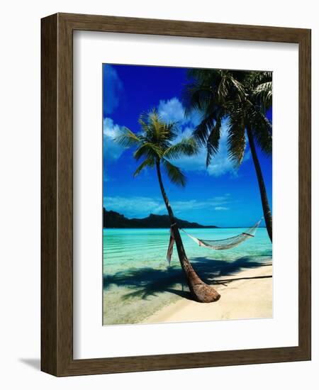 Hammock Hanging Seaside-Randy Faris-Framed Photographic Print