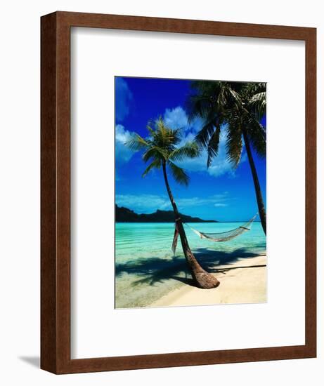Hammock Hanging Seaside-Randy Faris-Framed Photographic Print