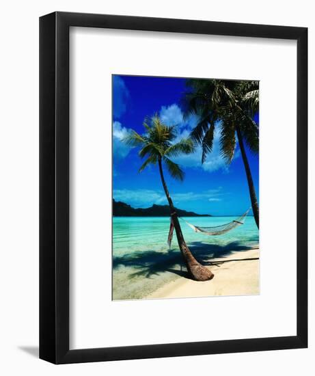 Hammock Hanging Seaside-Randy Faris-Framed Photographic Print