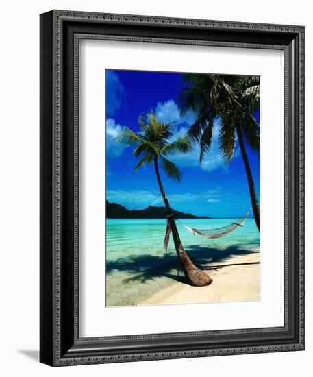 Hammock Hanging Seaside-Randy Faris-Framed Photographic Print