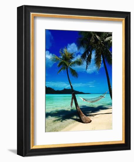 Hammock Hanging Seaside-Randy Faris-Framed Photographic Print