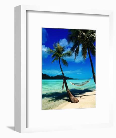 Hammock Hanging Seaside-Randy Faris-Framed Photographic Print