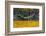 Hammock Looking Inviting in a Leaf Strewn Yard in Whitefish, Montana-Chuck Haney-Framed Photographic Print