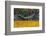 Hammock Looking Inviting in a Leaf Strewn Yard in Whitefish, Montana-Chuck Haney-Framed Photographic Print