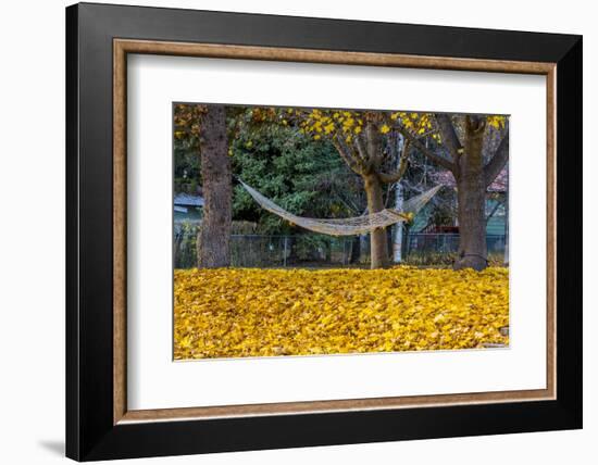 Hammock Looking Inviting in a Leaf Strewn Yard in Whitefish, Montana-Chuck Haney-Framed Photographic Print